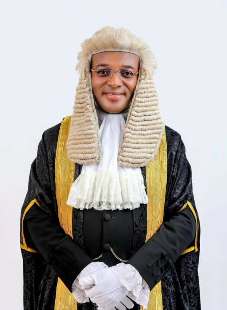 Chijioke Emeka SAN